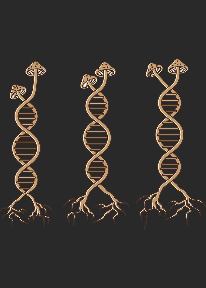 Pick Mushrooms DNA Shroom