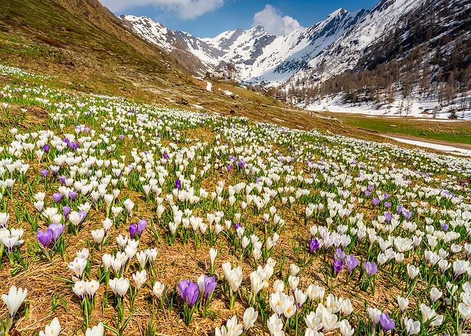 Nature