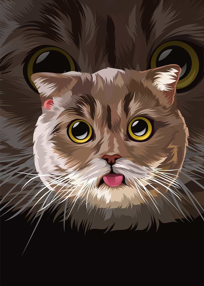 CAT ILLUSTRATION