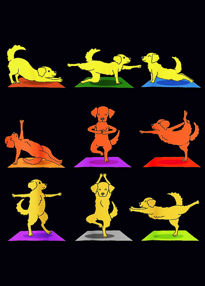 Dogs making Yoga Sport
