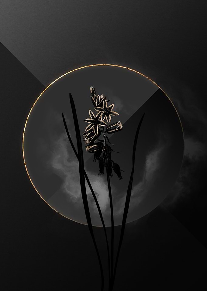 Dark Black and Gold Flower