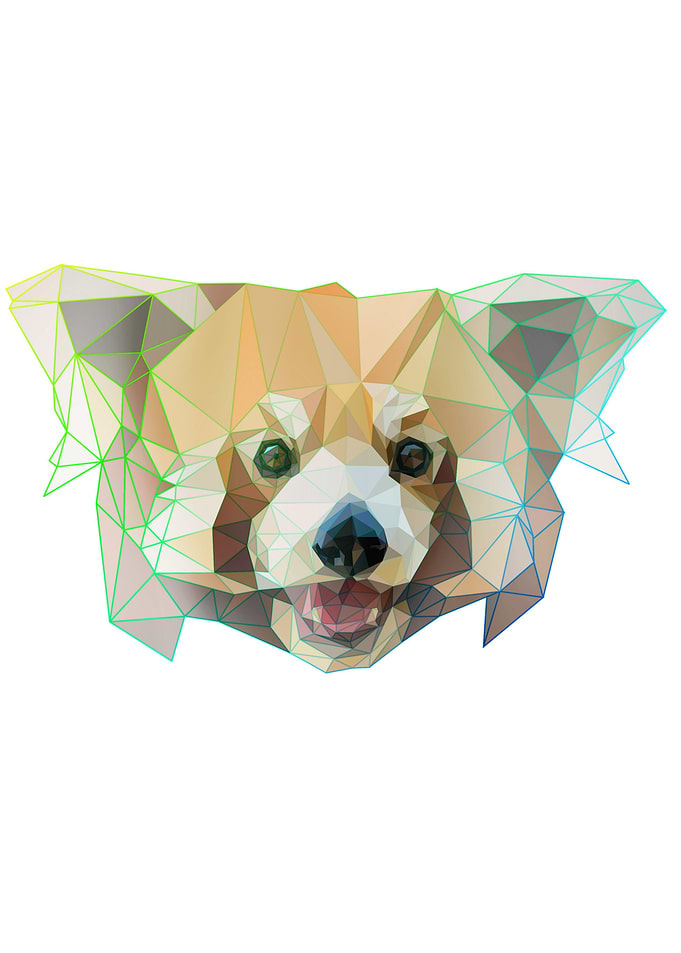 red panda
