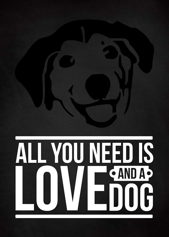 ALL YOU NEED DOG CHALK