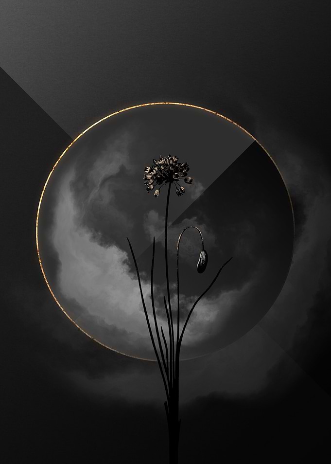 Shadowy Gold Onion Flower