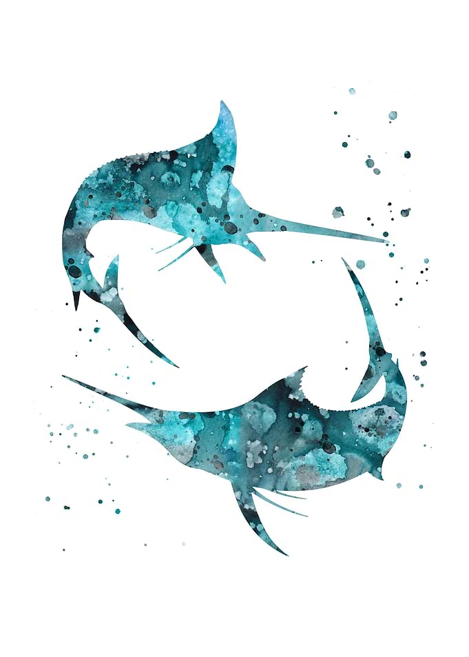 Swordfish