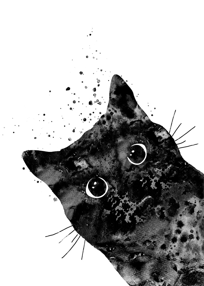 Peeking cat