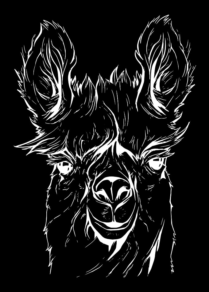 Lama