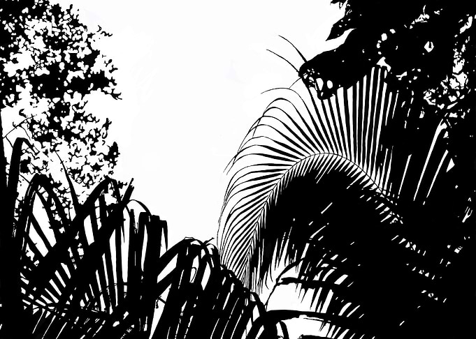 Ecuadorian Paradise
