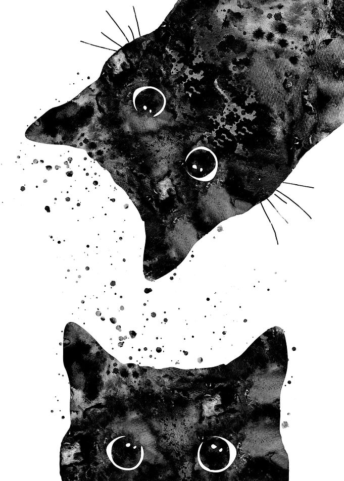 Cat peeking