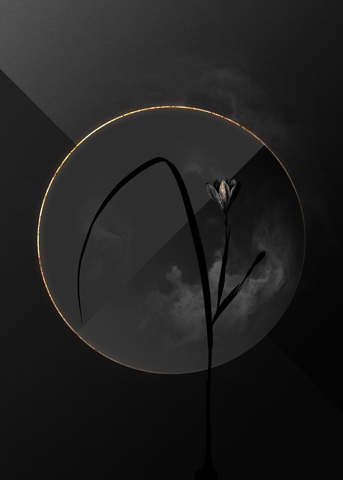 Dark Tulip Black and Gold