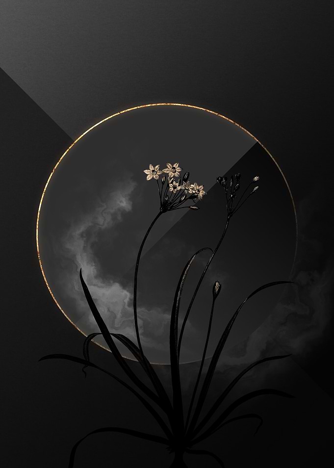 Dark Allium Shadow on Gold