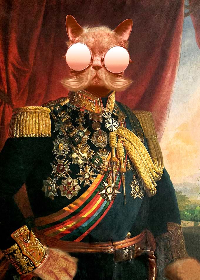 Duke Cat