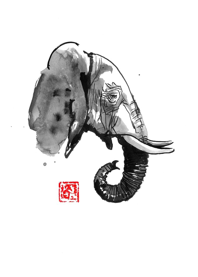 elephant profile