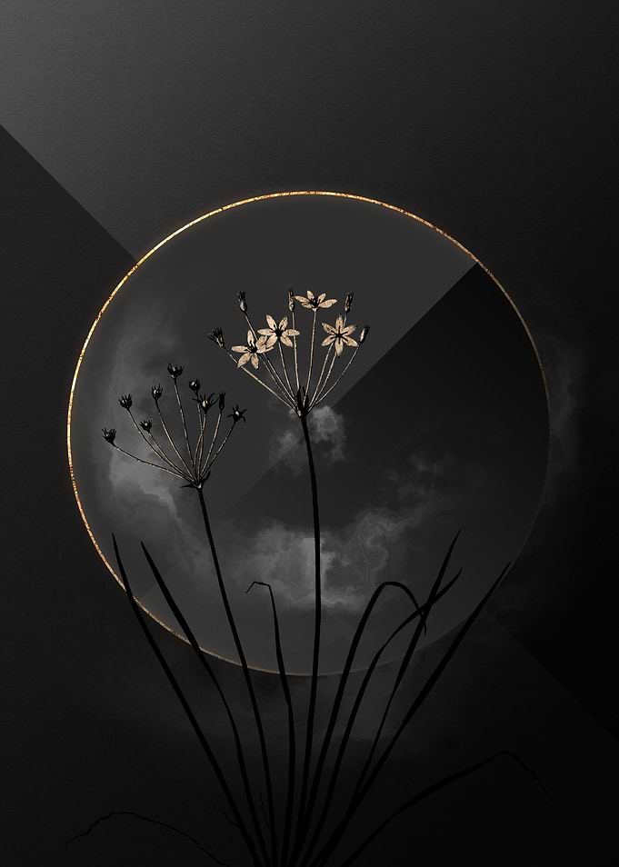 Dark Allium Shadow on Gold