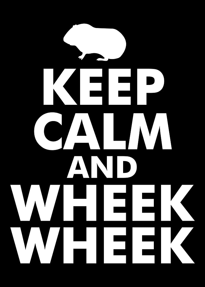 Whek wheek