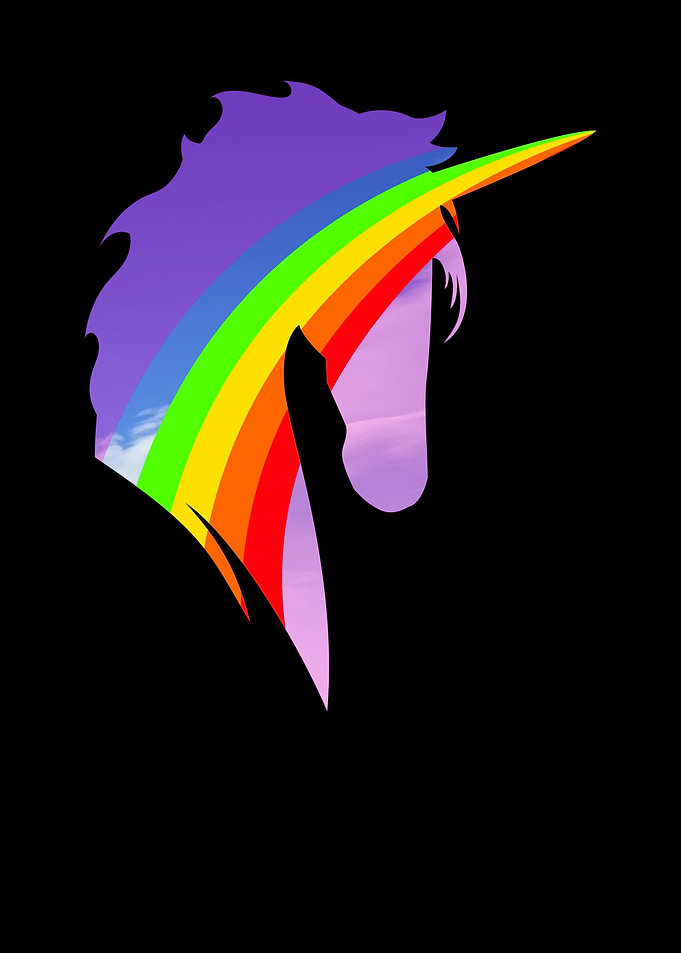 Beautiful Unicorn