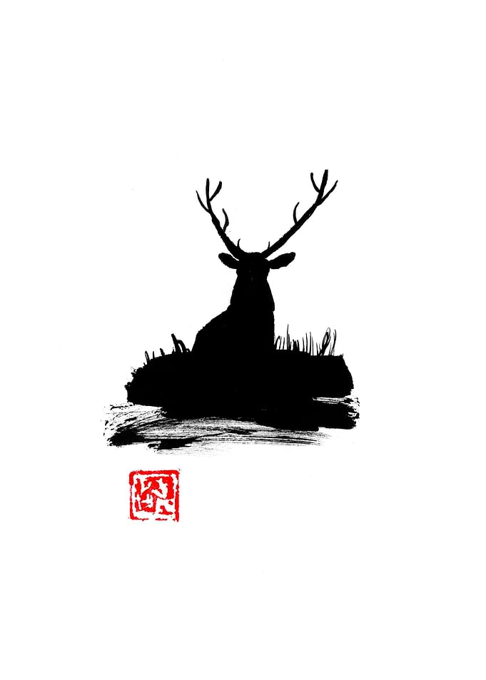 deer at night