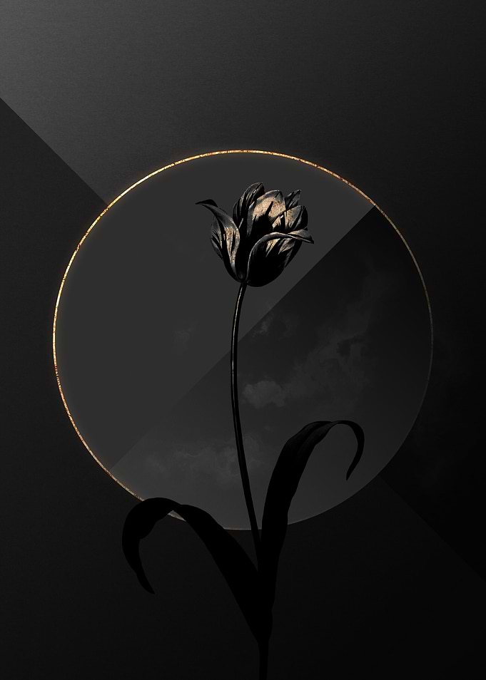 Dark Black and Gold Flower