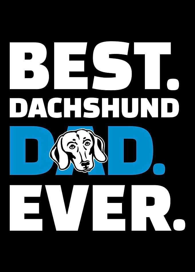 Dachshund