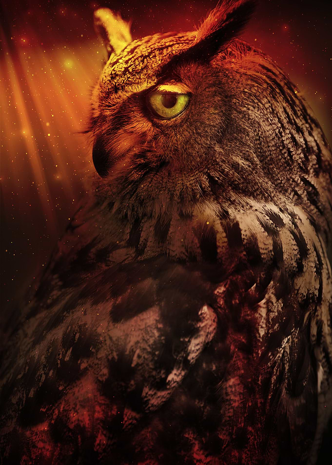 Eagle Owl