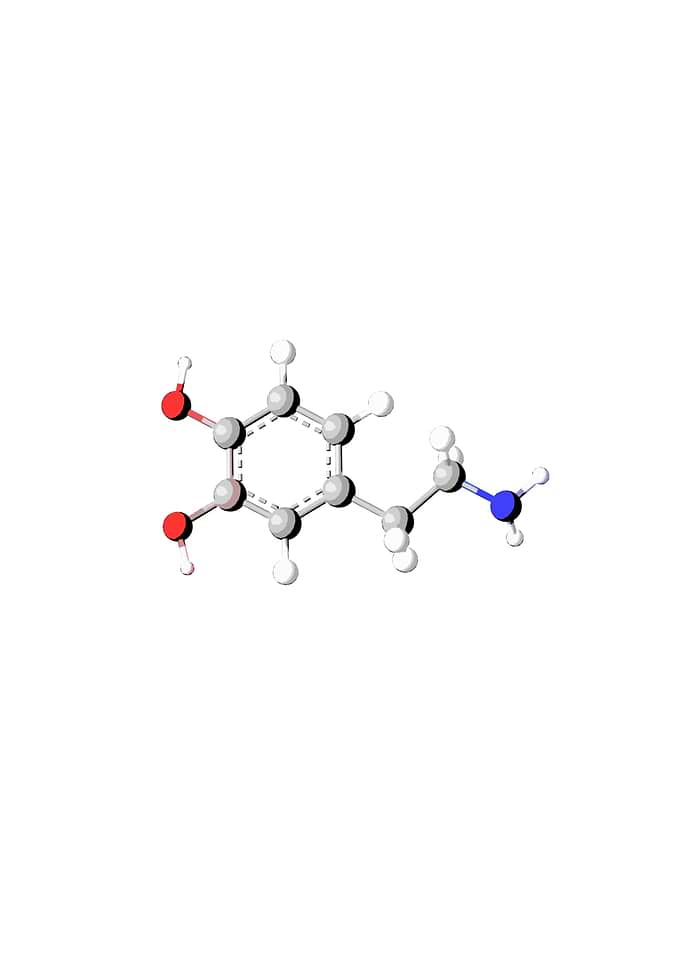 Dopamine