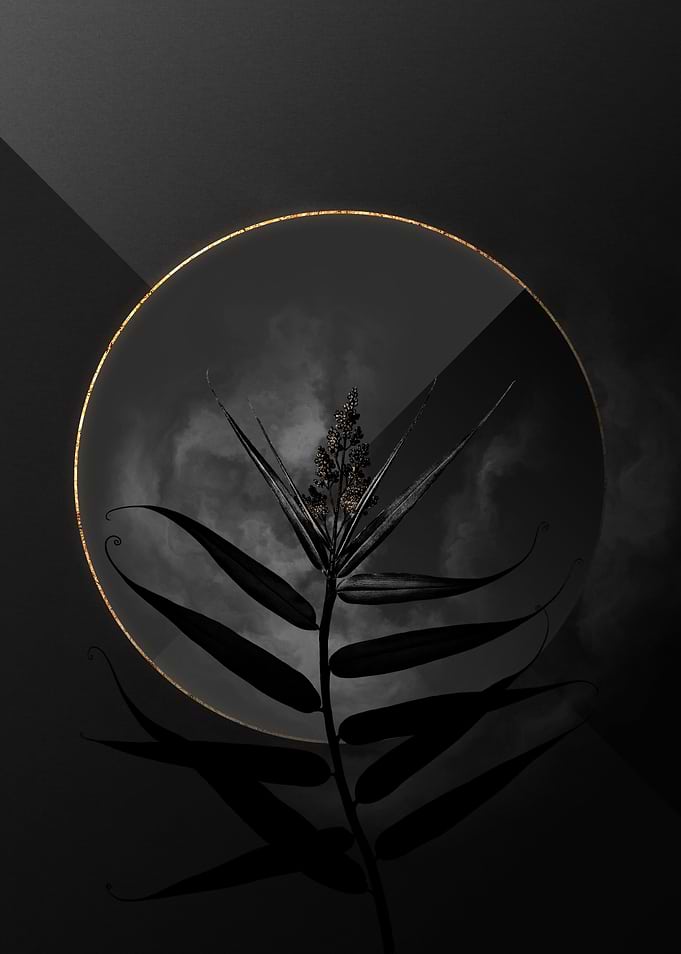Dark Cane Black and Gold