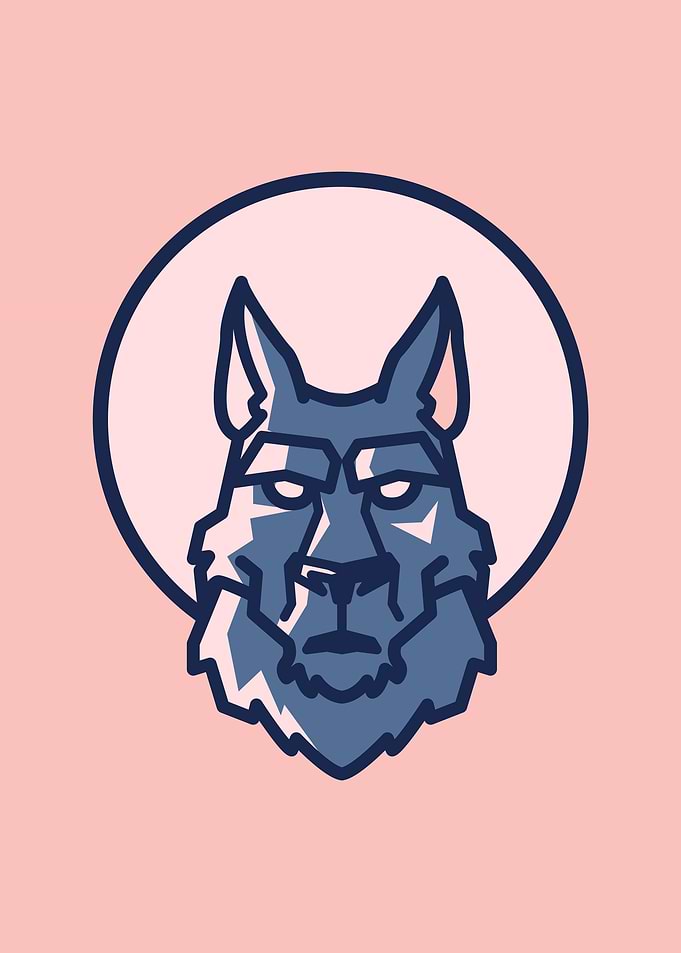 Scar