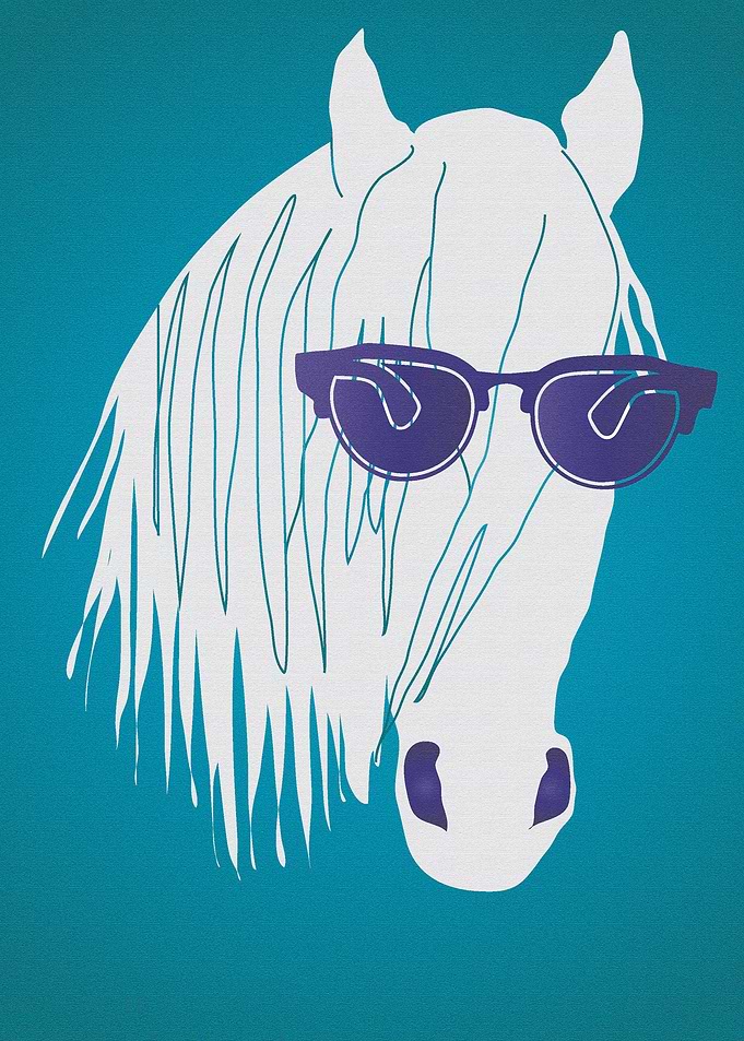 Pop Art Star Horse