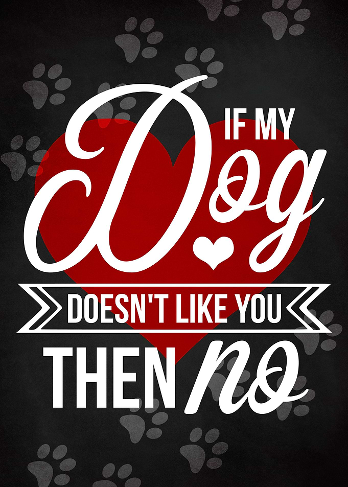 DOG DOESNT LIKE YOU CHALK