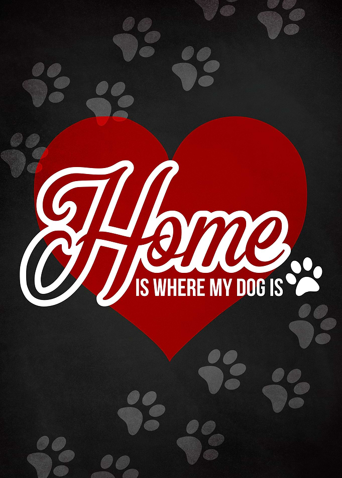 HOME DOG CHALK