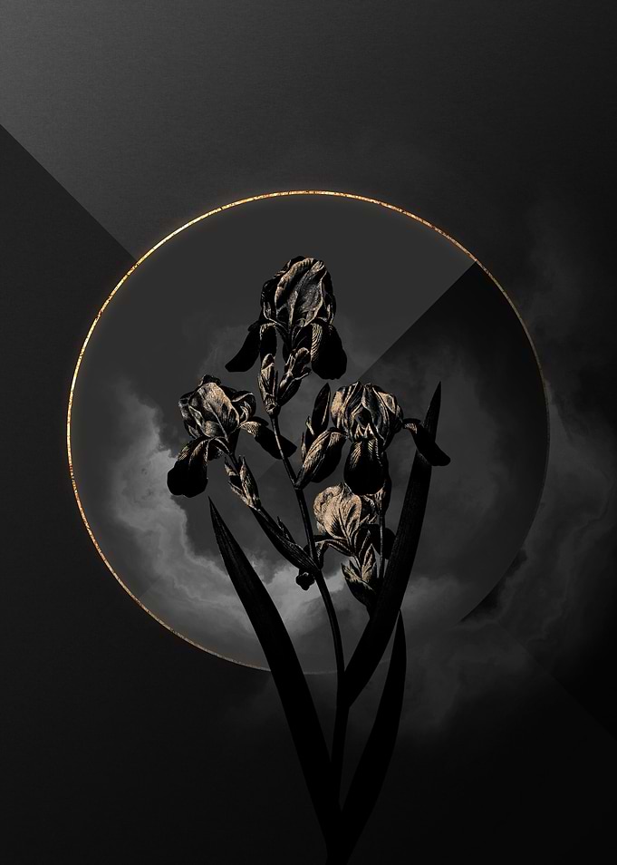 Black and Gold Floral Art