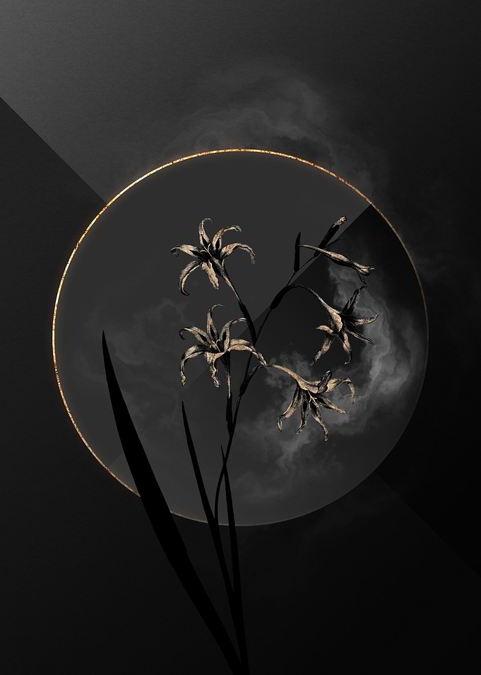Black and Gold Floral Art