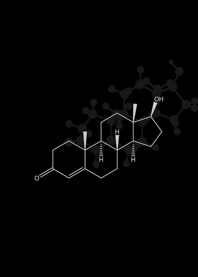 Testosterone