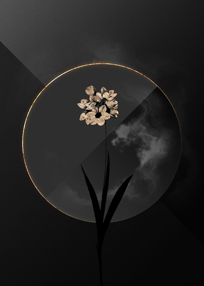 Lily Black and Gold Art