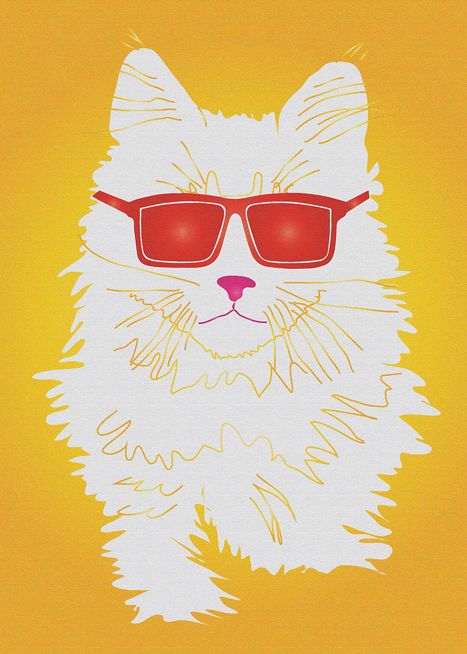 Pop Art Star Cat