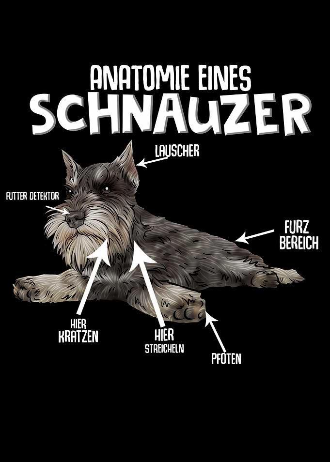 Schnauzer Dog