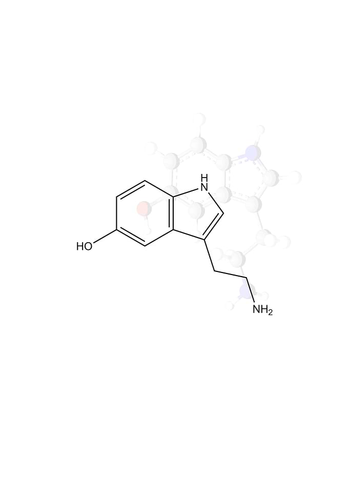 Serotonin