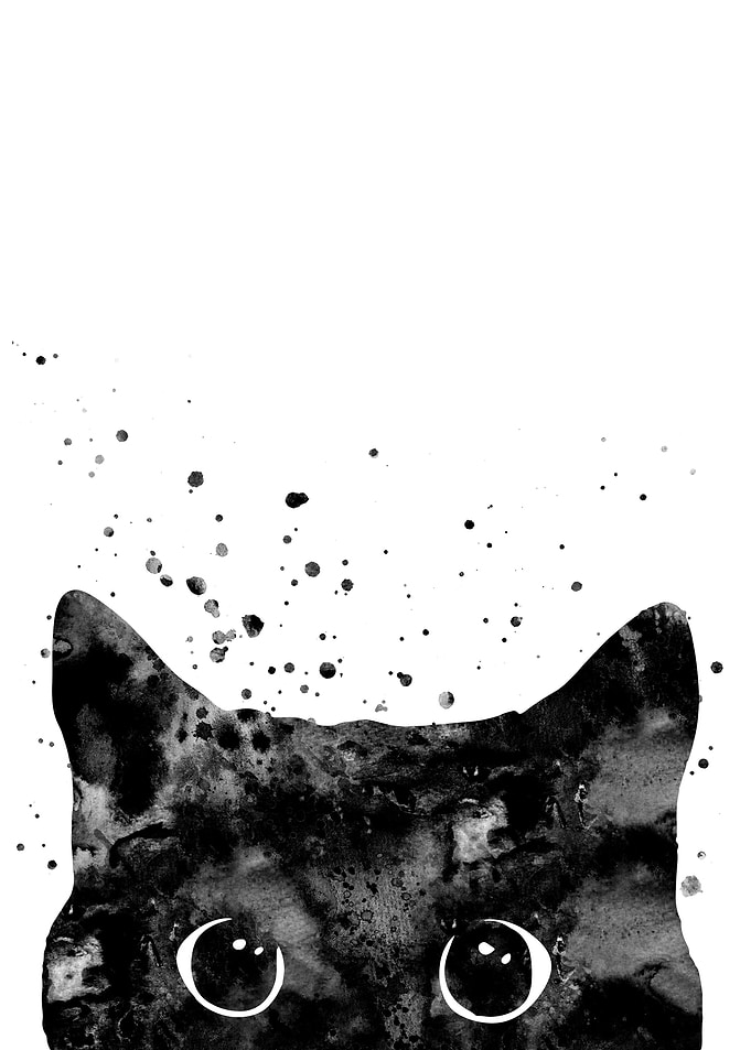 Peeking cat