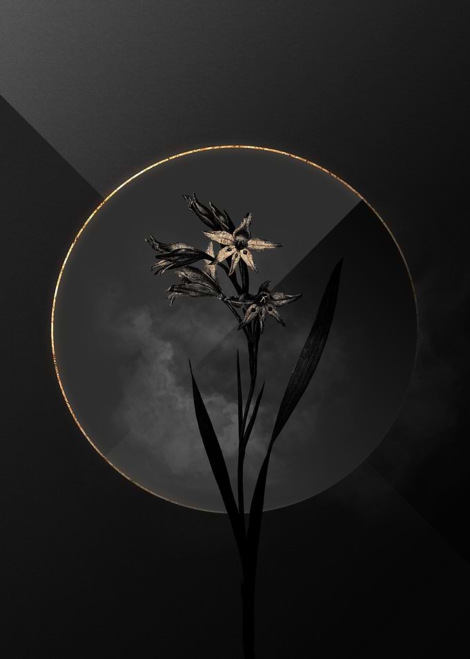 Black and Gold Floral Art