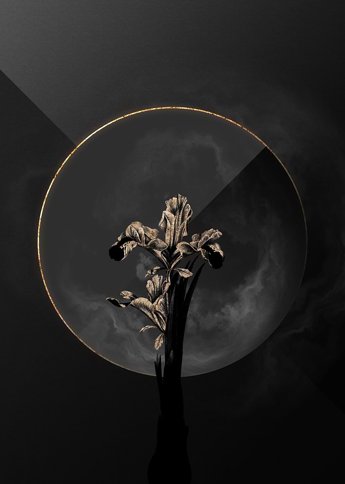 Iris Black and Gold Art