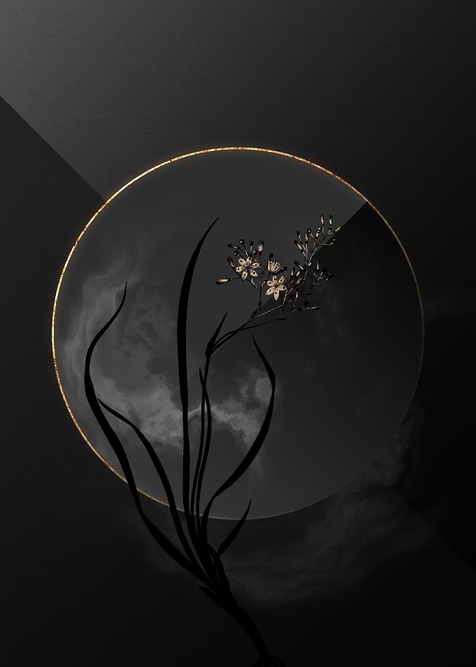 Black and Gold Flower Art