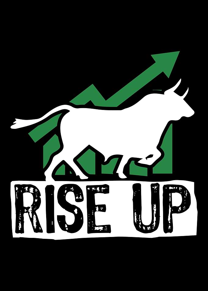 Bull Bear Market Capitalis