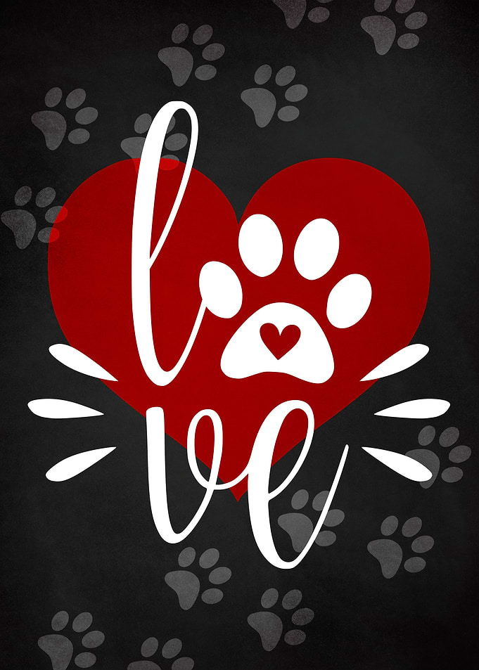 LOVE PAWS CHALK