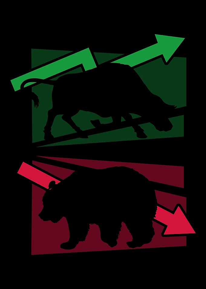 Bull Bear Market Capitalis