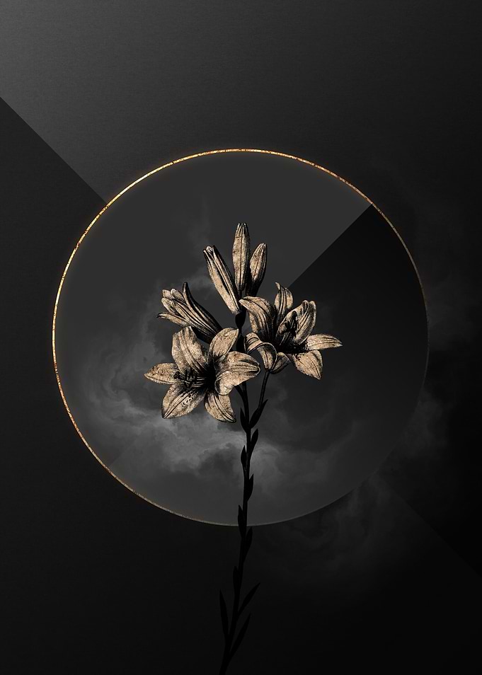 Lily Black and Gold Art
