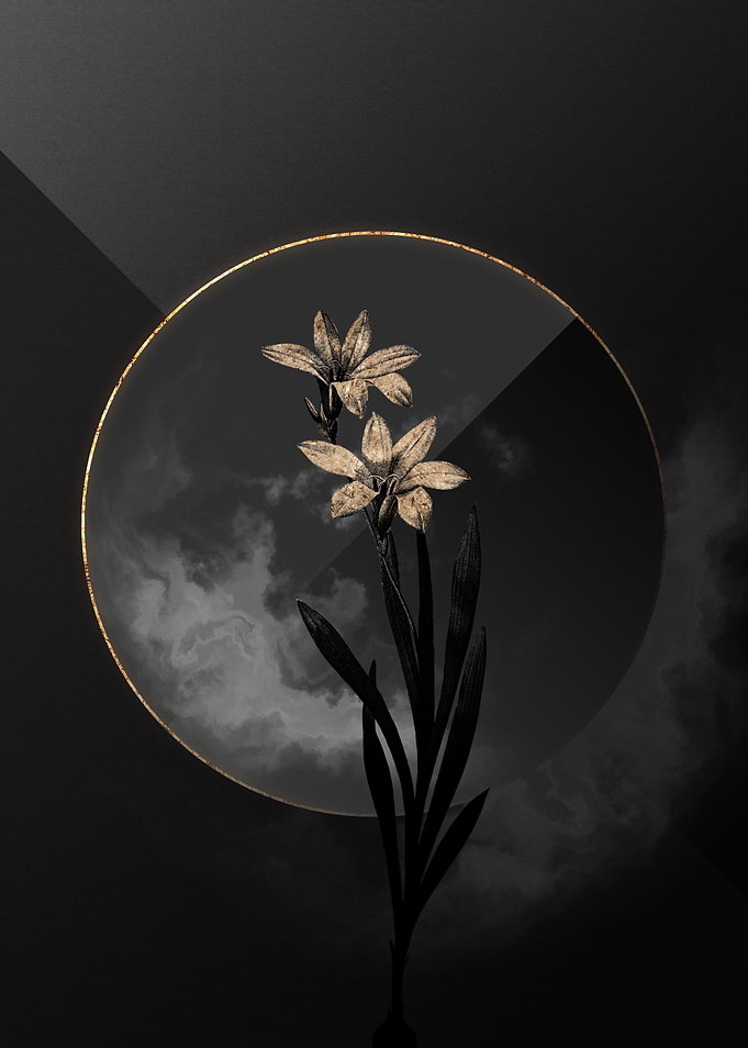 Lily Black and Gold Art