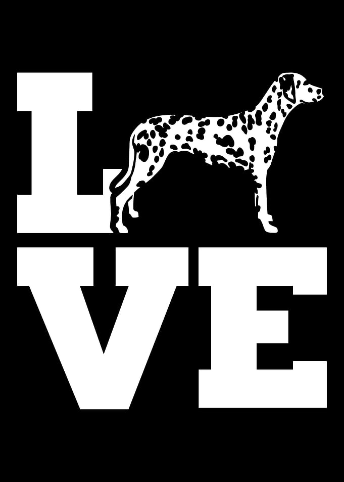 Dalmatian