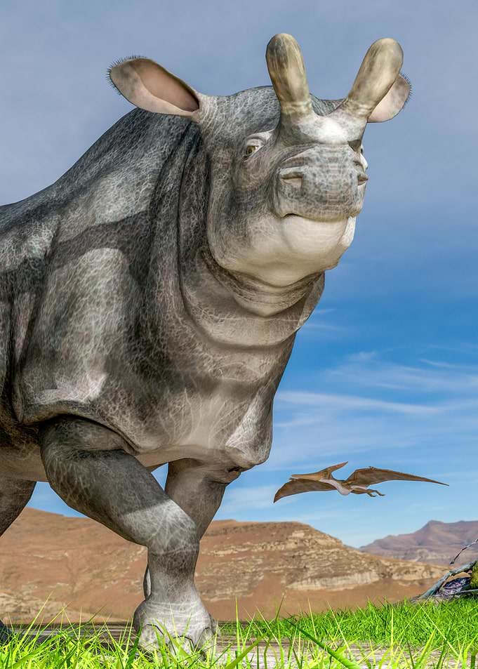 Brontotherium