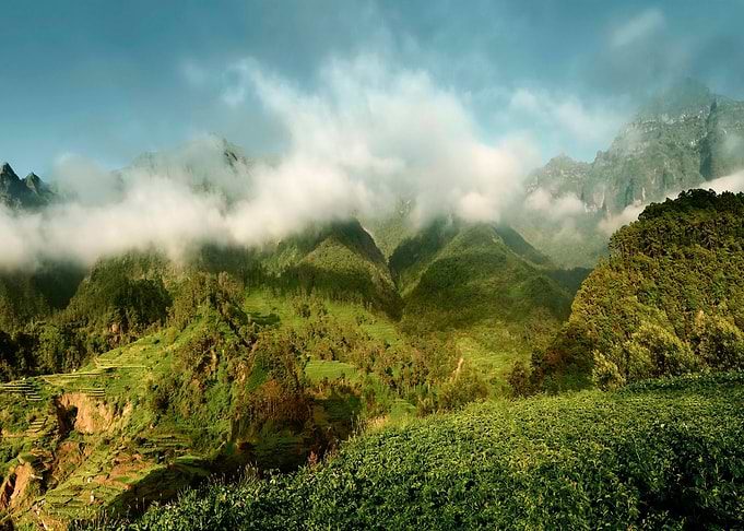 Nature