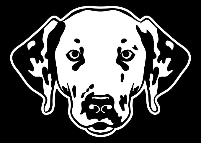 Dalmatian